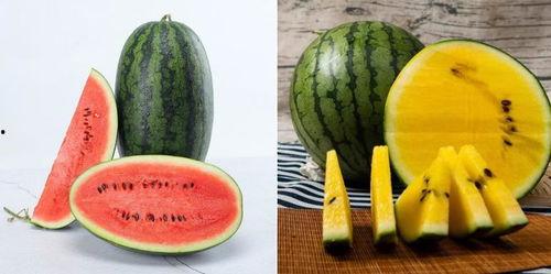 吃瓜网我是云南的,吃瓜网带你领略独特地域美食文化