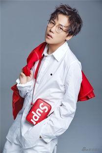 娱乐吃瓜酱刘维